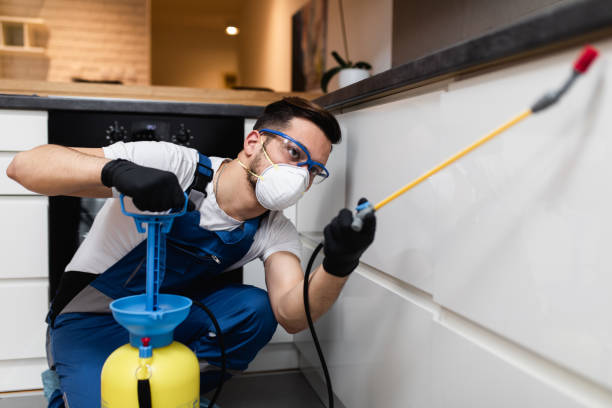 Trusted Gainesville, TX Pest Control Experts