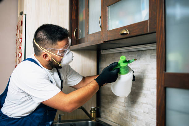 Best Affordable Pest Control Services  in Gainesville, TX