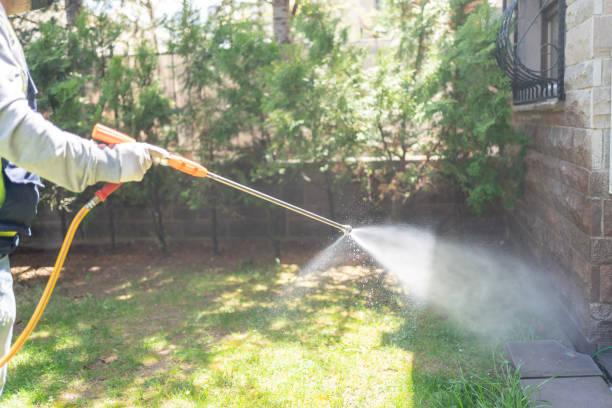 Pest Control for Restaurants in Gainesville, TX