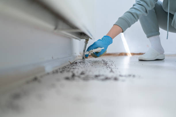 Best Commercial Pest Control Services  in Gainesville, TX