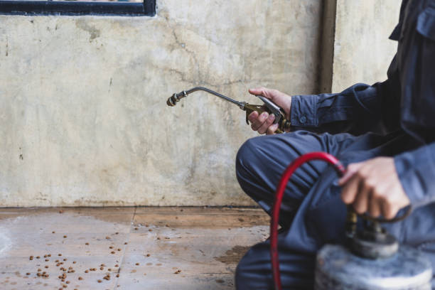 Best Pest Prevention Services  in Gainesville, TX