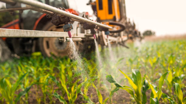 Best Commercial Pest Control Services  in Gainesville, TX
